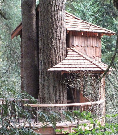 Comment construire une cabane dans les arbres?