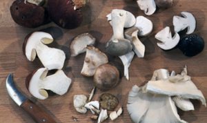 Comment nettoyer les champignons?