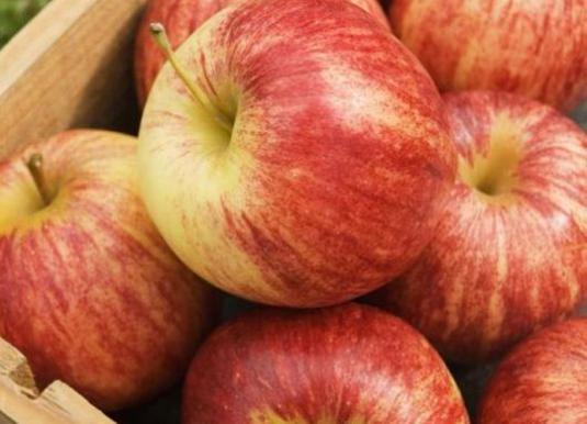 Comment conserver les pommes en hiver?