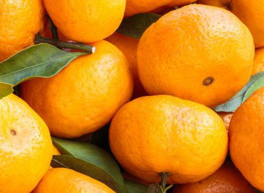 Combien de calories y a-t-il dans la mandarine?