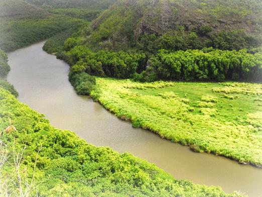 De quoi rêve la rivière?