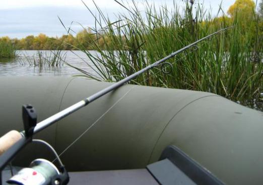 De quoi rêve la canne à pêche?