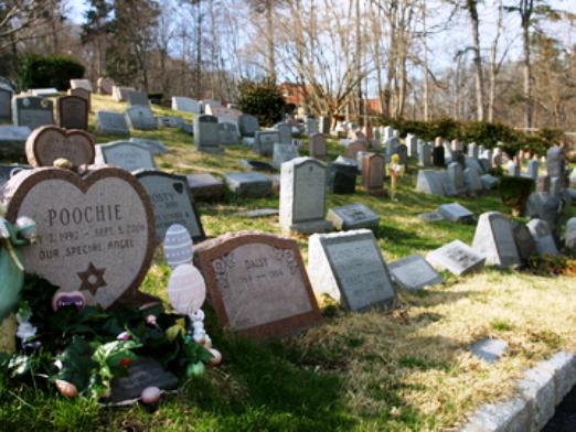 Quand vont-ils au cimetière?