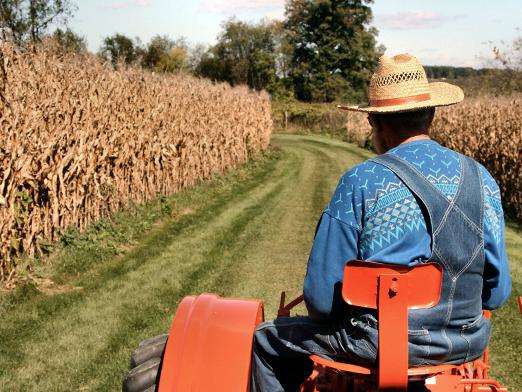 Comment devenir un agriculteur en Russie?