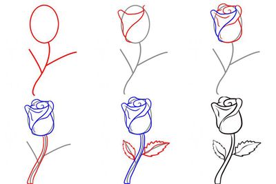 Comment dessiner une fleur au crayon?