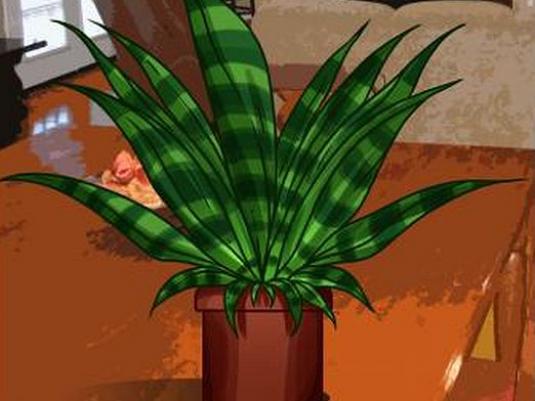 Comment dessiner une plante?