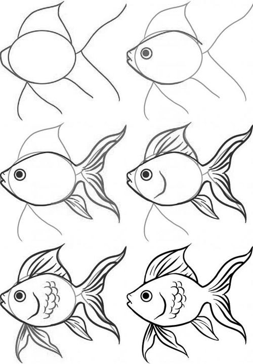 Comment dessiner un poisson rouge?