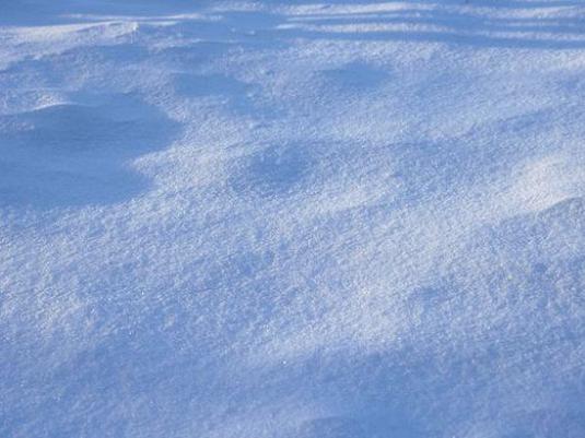 Quel genre de neige?