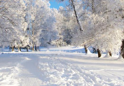 Qu'est-ce que c'est: la neige?