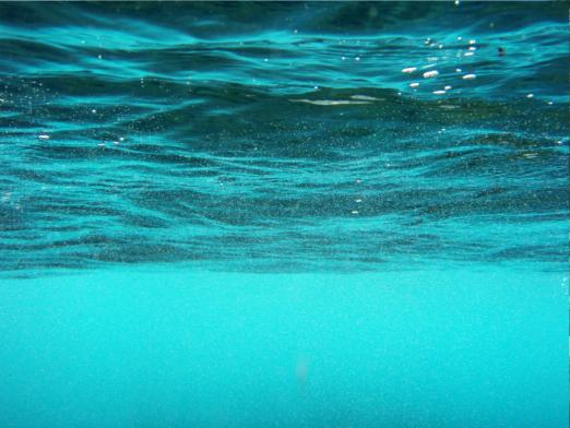 Quelle est la densité de l'eau?