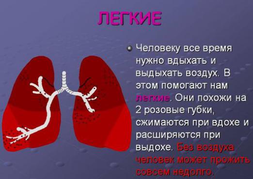 Pourquoi avons-nous besoin de poumons?