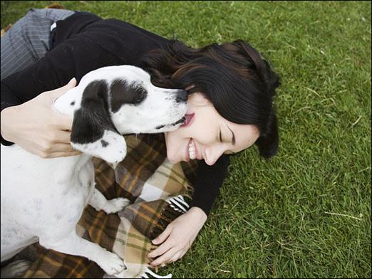 À quoi sert le chien?